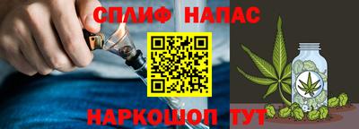 прущие грибы Лесосибирск