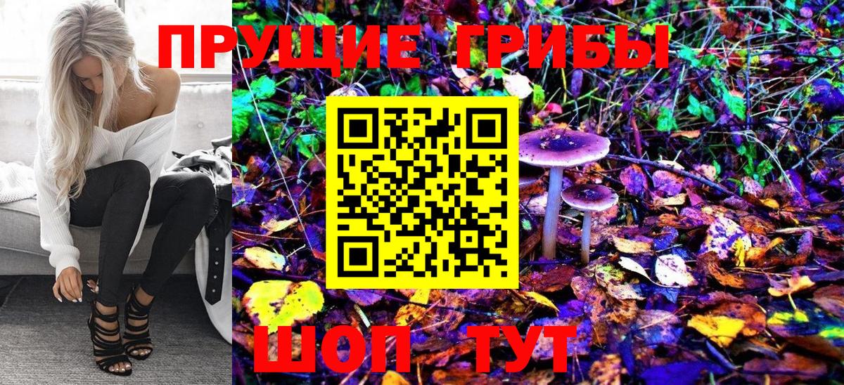 купить   Галлюциногенные грибы ЛСД  Вход с VPN  Жигулёвск 