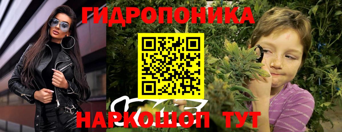Конопля семена  Канабис Ganja  Жигулёвск  Шишки марихуана THC 21%  Вход с VPN 